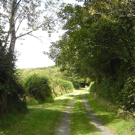 Holdstrong Farmhouse Lydford Εξωτερικό φωτογραφία