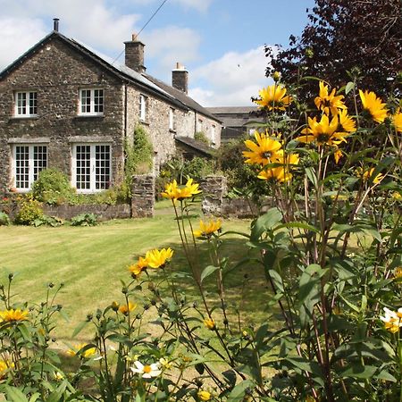 Holdstrong Farmhouse Lydford Εξωτερικό φωτογραφία