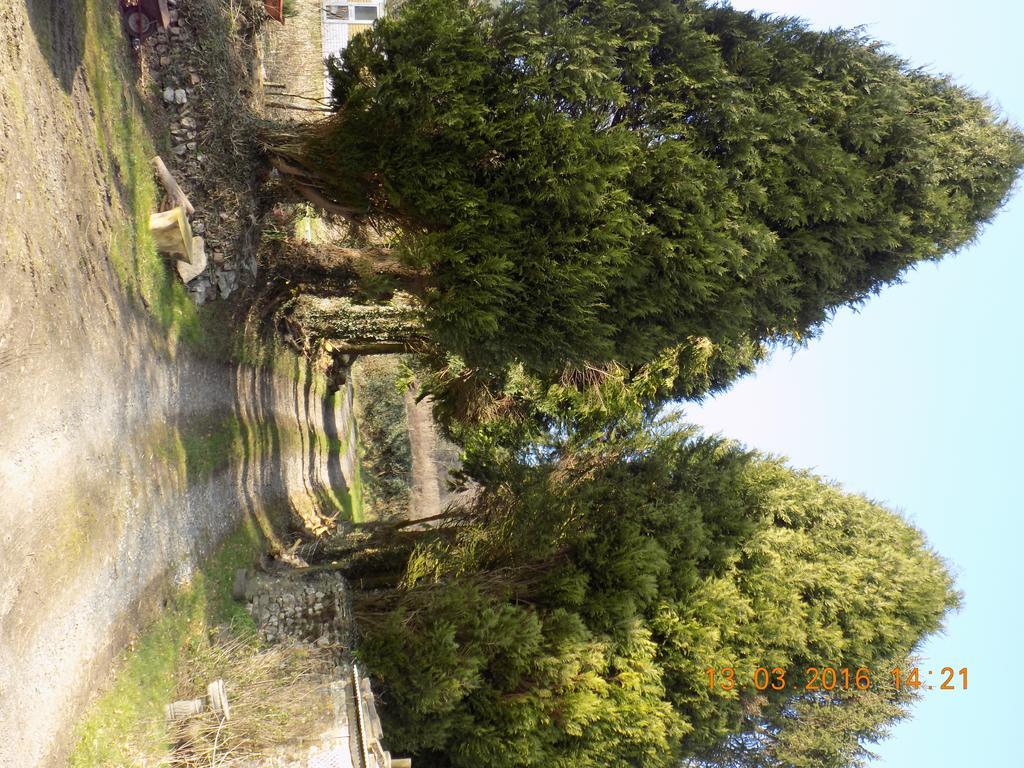 Holdstrong Farmhouse Lydford Εξωτερικό φωτογραφία
